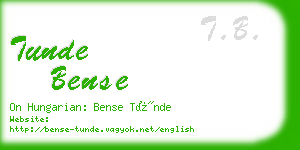 tunde bense business card